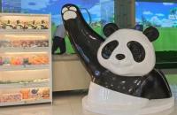 零門檻玩轉(zhuǎn)室內(nèi)高爾夫，廈門胖達(dá)打造3000㎡全民運(yùn)動(dòng)空間！